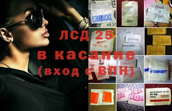 прущие грибы Волосово