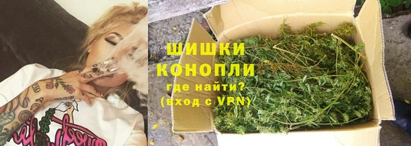 прущие грибы Волосово