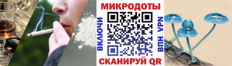 купить   Чехов  Псилоцибиновые грибы MAGIC MUSHROOMS 